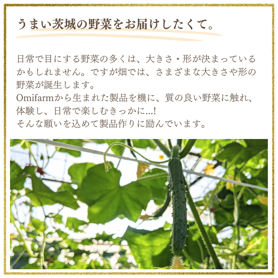 初めの3個セット(きゅうり・レンコン・お芋)(小)