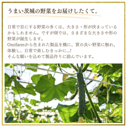 ひこちゃんレンコン洋風ピクルス（小）